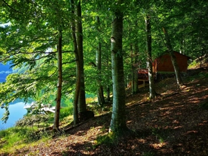 Cabană de vânzare pe Transfăgărășan, cu deschidere directă la Lacul Vidraru. - imagine 13