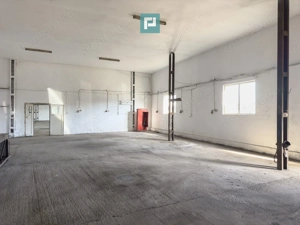 Teren intravilan 6.555 mp cu hală industrială - imagine 3