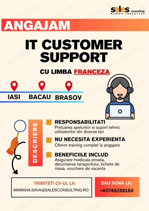 IT customer support specialist suport tehnic cu franceza