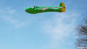 Aeromodel RC 5 m PWS 101 11 KG - imagine 3