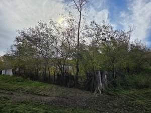 Vând casă şi teren intravilan, Popeşti, Vaslui - imagine 5