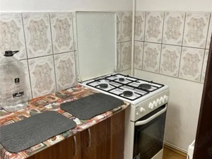 Domenii - vila singur curte, 5 minute SNSPA - imagine 12