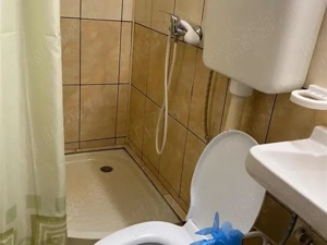 Domenii - vila singur curte, 5 minute SNSPA - imagine 9