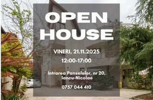 Vila mobilata utilata Iancu Nicolae