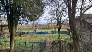 Casa în Șăulia de Câmpie - imagine 7