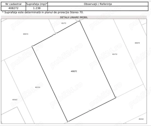 Vând teren1238mp,fs.28ml,pt.casă or duplex,utilități la stradă,asfaltat,zonă nouă,Remetea Mare100emp