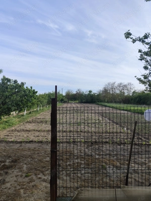 Vand casa cu teren sat Sarbova - imagine 4