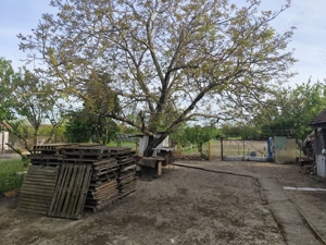 Vand casa cu teren sat Sarbova - imagine 9