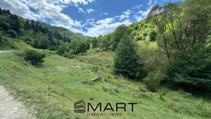 Teren intravilan 8500mp Rasinari - imagine 3