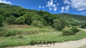 Teren intravilan 8500mp Rasinari - imagine 2