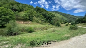 Teren intravilan 8500mp Rasinari - imagine 5