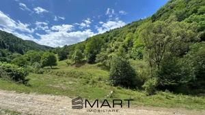 Teren intravilan 8500mp Rasinari