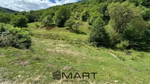 Teren intravilan 8500mp Rasinari - imagine 4