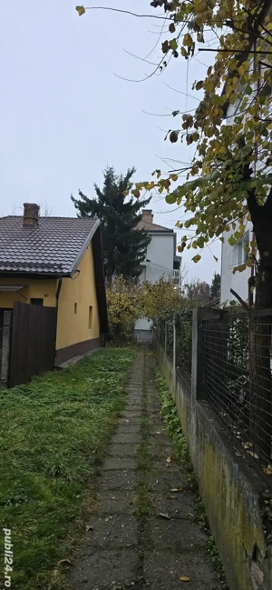 Apartament de închiriat 