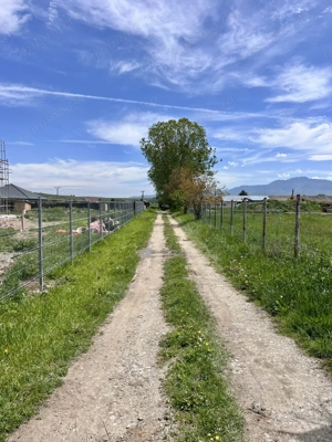 Teren de vânzare Zărnești intravilan - imagine 8