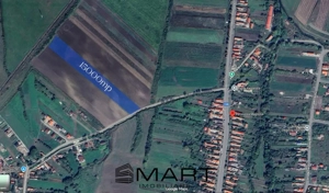 Teren Extravilan 15.000 mp Prejmer - imagine 5