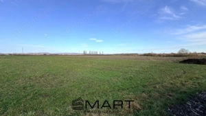 Teren Extravilan 15.000 mp Prejmer - imagine 2