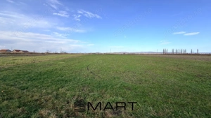 Teren Extravilan 15.000 mp Prejmer - imagine 4