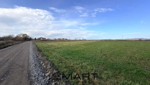 Teren Extravilan 15.000 mp Prejmer - imagine 3