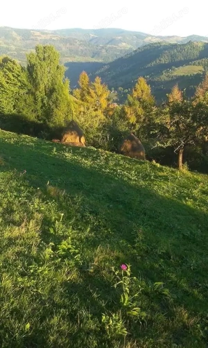 Vand casa 6 cam.,teren 1ha Apuseni-Matisesti, zona montana deosebita, drum turistic Trans Ursoaia - imagine 5