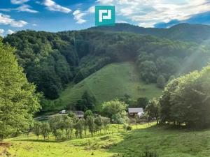 Teren  pentru investiții  în Luncoiu de Jos - imagine 6