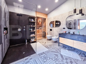 Vila  spectaculoasa de vanzare in Faget  - imagine 20