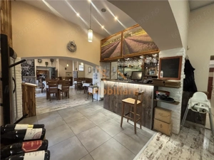 RESTAURANT GYULA | UNGARIA | PANOURI SOLARE | 245 MP |  TERASA PE LAC - imagine 5