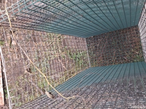 vând cuști  - imagine 3