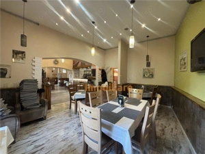 RESTAURANT GYULA | UNGARIA | PANOURI SOLARE | 245 MP |  TERASA PE LAC - imagine 4