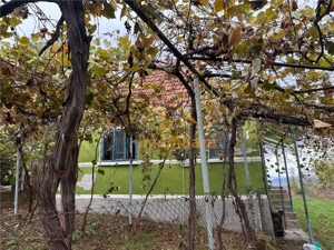 TEREN | 9341 MP | BALNACA GROSI | BIHOR - imagine 4