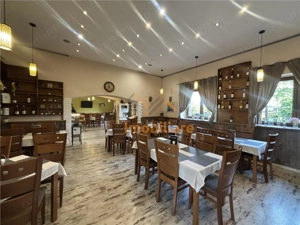 RESTAURANT GYULA | UNGARIA | PANOURI SOLARE | 245 MP |  TERASA PE LAC - imagine 12