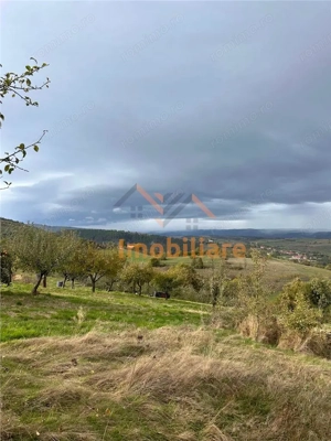 TEREN | 9341 MP | BALNACA GROSI | BIHOR - imagine 7