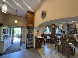 RESTAURANT GYULA | UNGARIA | PANOURI SOLARE | 245 MP |  TERASA PE LAC - imagine 10