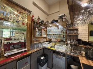 RESTAURANT GYULA | UNGARIA | PANOURI SOLARE | 245 MP |  TERASA PE LAC - imagine 7