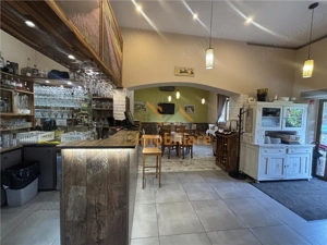 RESTAURANT GYULA | UNGARIA | PANOURI SOLARE | 245 MP |  TERASA PE LAC - imagine 8