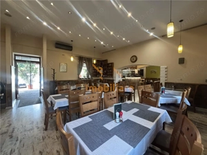 RESTAURANT GYULA | UNGARIA | PANOURI SOLARE | 245 MP |  TERASA PE LAC - imagine 11