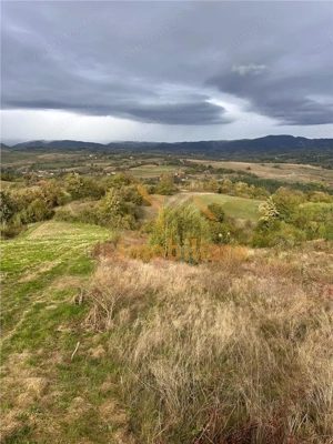 TEREN | 9341 MP | BALNACA GROSI | BIHOR - imagine 9