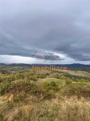 TEREN | 9341 MP | BALNACA GROSI | BIHOR - imagine 10