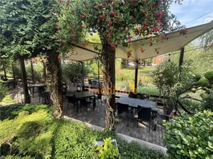 RESTAURANT GYULA | UNGARIA | PANOURI SOLARE | 245 MP |  TERASA PE LAC - imagine 18
