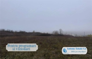 Teren Intravilan de vanzare- Bors - imagine 5