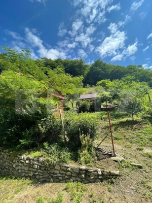 Casa de vacanta cu 4 camere, 1470 mp teren, Sugag - imagine 8
