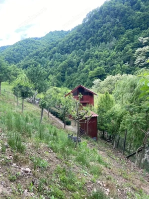 Casa de vacanta cu 4 camere, 1470 mp teren, Sugag - imagine 10