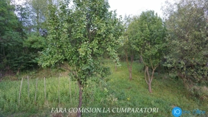 OLANESTI, CASA NOUA, TEREN 1389 MP
 - imagine 20