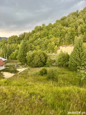 Teren intravilan Remeți - imagine 5