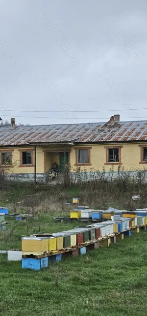 De vanzare 13700 mp Com .Dobretu jud Olt 20 km fata de Craiova - imagine 7