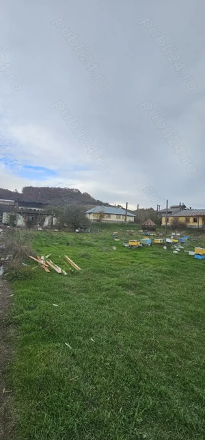 De vanzare 13700 mp Com .Dobretu jud Olt 20 km fata de Craiova - imagine 9