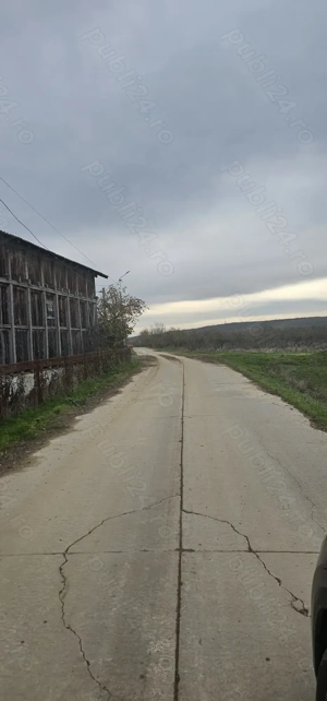 De vanzare 13700 mp Com .Dobretu jud Olt 20 km fata de Craiova - imagine 10