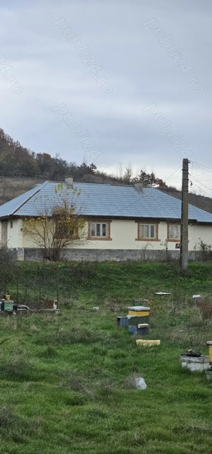 De vanzare 13700 mp teren in Com.Dobretu la 20 min Craiova  - imagine 4