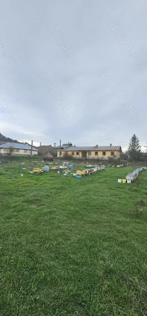 De vanzare 13700 mp teren in Com.Dobretu la 20 min Craiova  - imagine 5