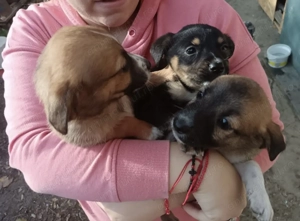 Donez prichindei. Mai jucăuși nu găsiți  - imagine 4